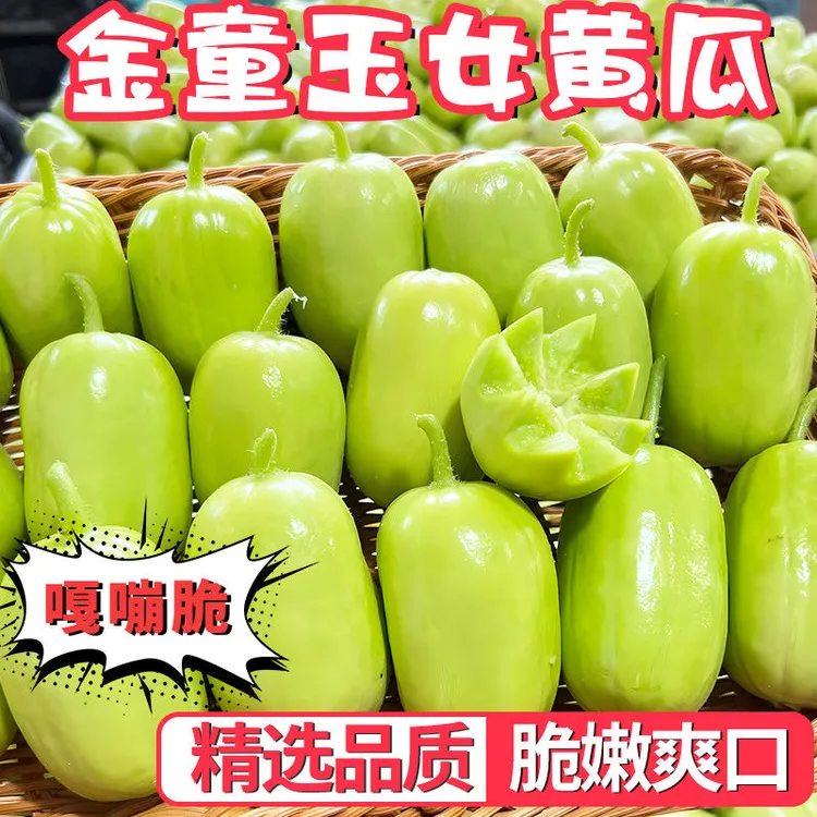 玉女水果黄瓜寿光水果玉女拇指水果黄瓜手指黄瓜应季金童玉女