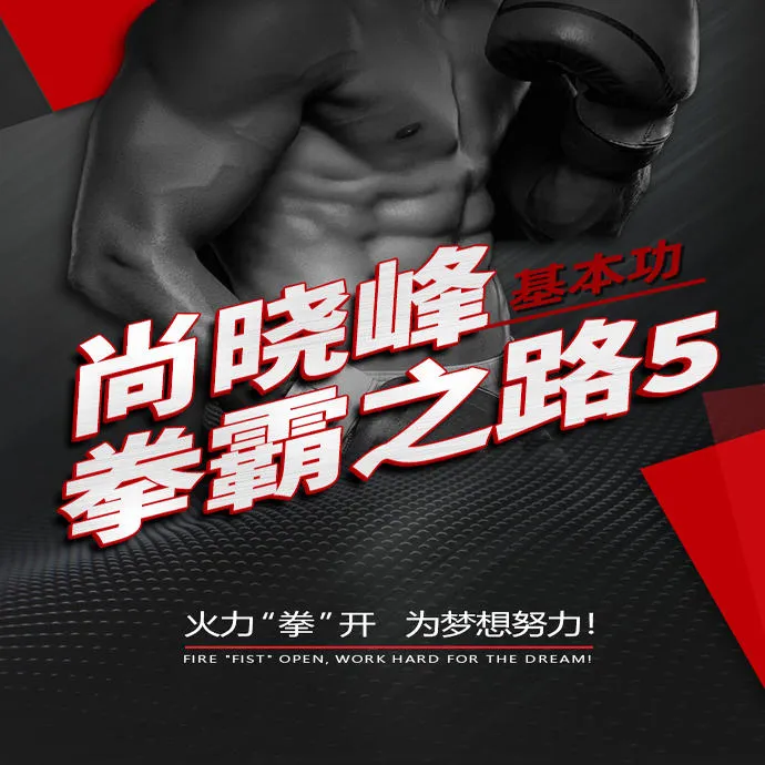 尚晓峰搏击拳霸之路5 基本功