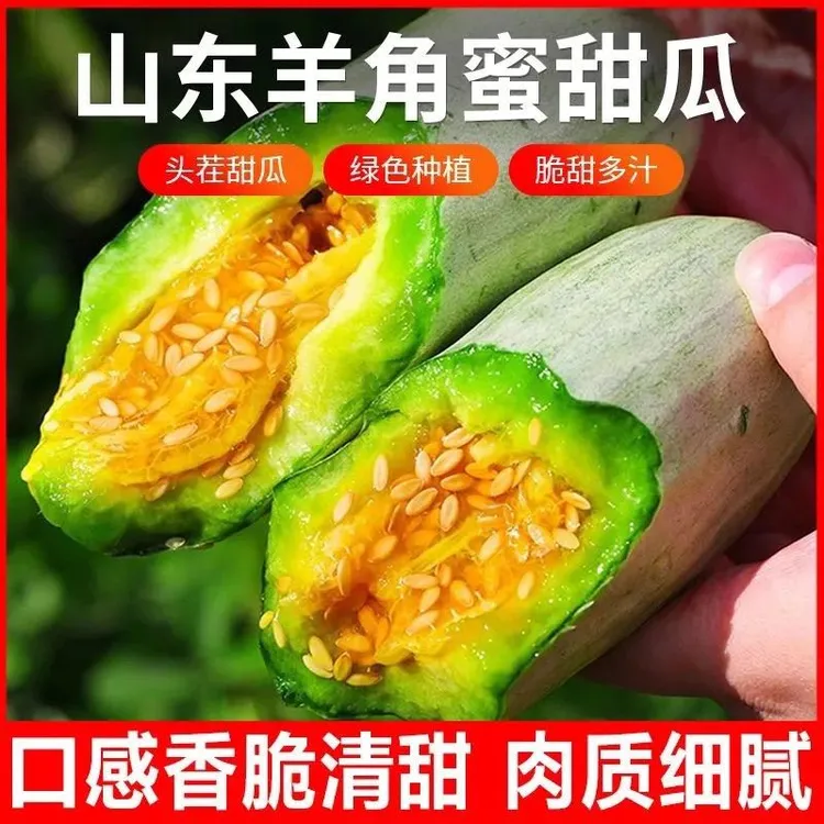 山东羊角蜜甜瓜新鲜水果当季脆甜多汁香瓜蜜瓜产地直发