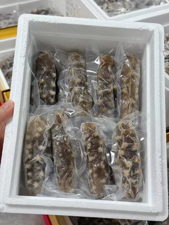 即食海参(小阿姨推荐)