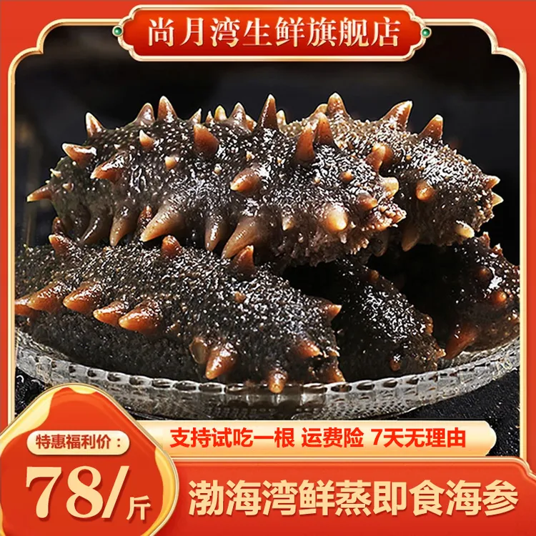 【劲道口感】鲜即食海参500g大连深海刺参冷水化冻食用儿童营养