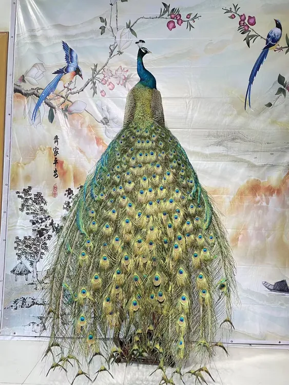 蓝孔雀所见即所得顺丰快递包邮到家，孔雀观赏摆件