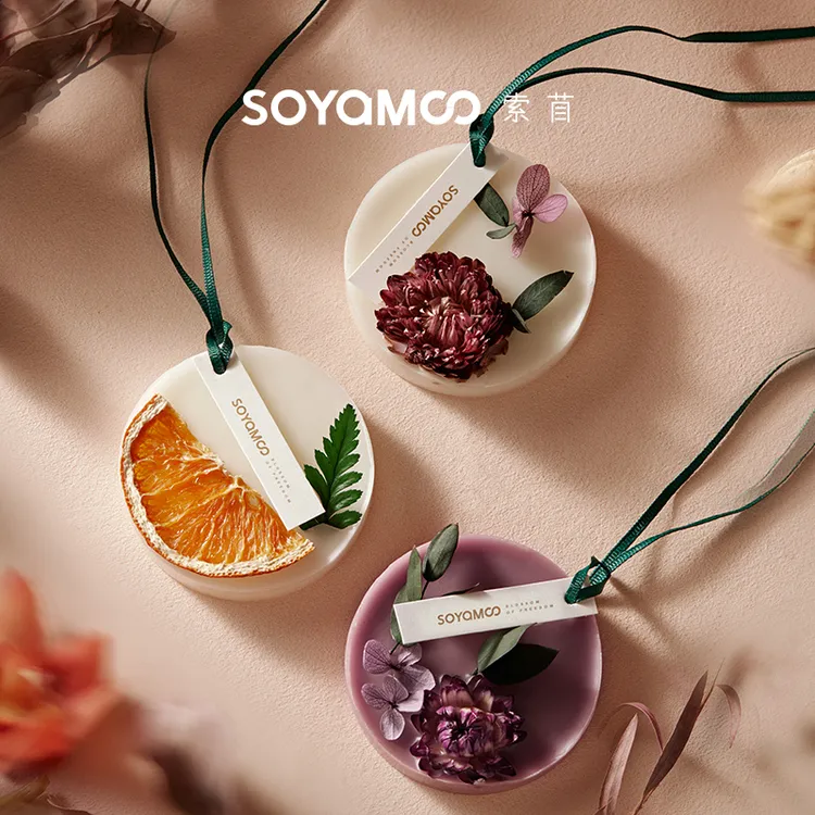 CITTA/西苔【新店抢】香薰蜡片衣柜除味家用扩香卧室清新空气挂件