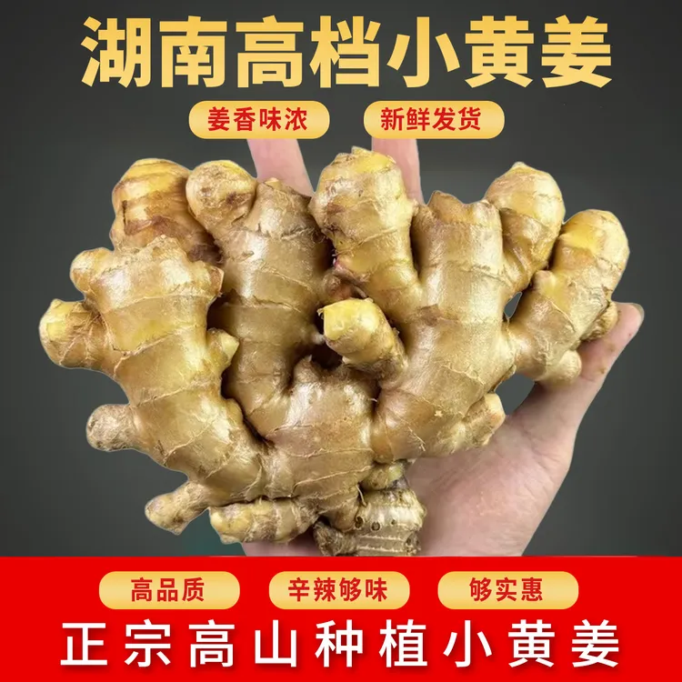 【高档级】湖南小黄姜特级高山新鲜生姜老姜批发正宗老黄姜产地直销商品图
