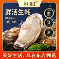 东方甄选自营鲜活生蚝（产自乳山）3-4两/只 4-6两/只 5斤/8斤装