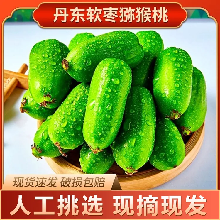 【放软食用】丹东软枣猕猴桃奇异莓现摘现发放软食用