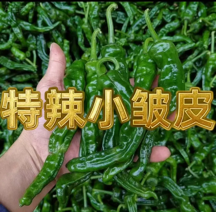 特辣小皱皮辣椒新鲜薄皮青椒农家自种现摘蔬菜