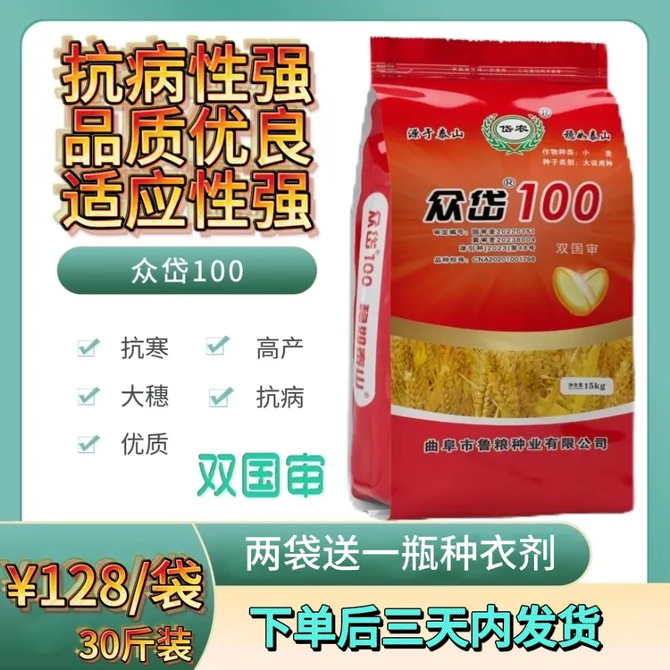 众岱100（曲阜鲁粮）30斤装抗寒抗病优质高产大穗小麦种