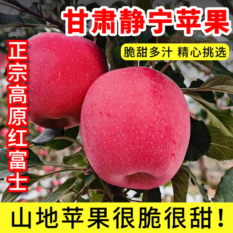 正宗甘肃静宁红富士苹果新鲜水果脆甜可口鲜嫩多汁精品3/5/8斤装