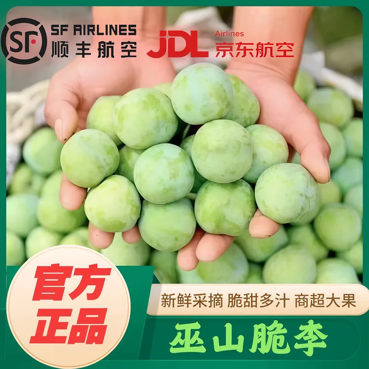 【官方正品】正宗巫山脆李 重庆特产水果礼盒 坏果包赔 发顺丰 京东
