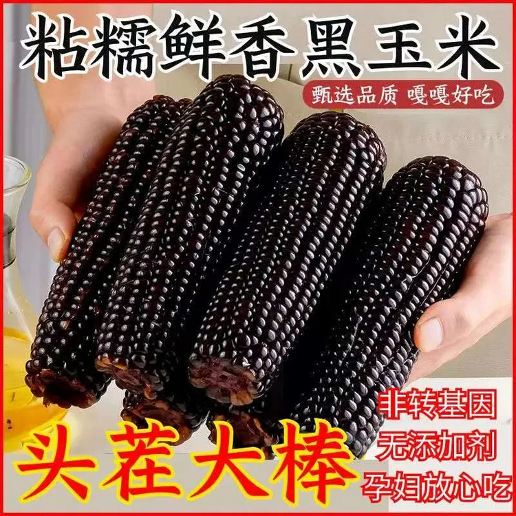 【试吃2根】25年新季头茬黑糯玉米整箱8根装单根260g-320g