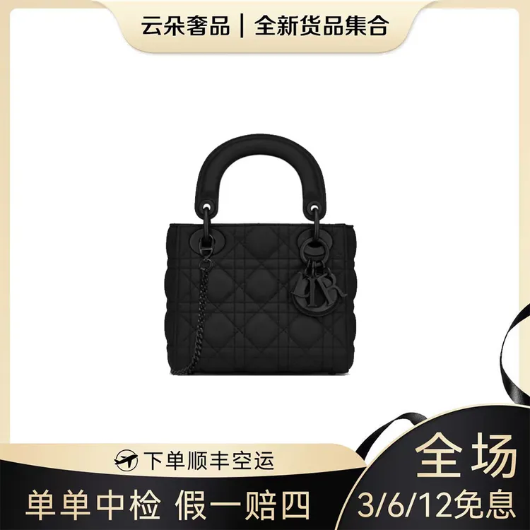 未使用 DIOR/迪奥 云朵奢品/迪奥 黑色三格磨砂戴妃/全新