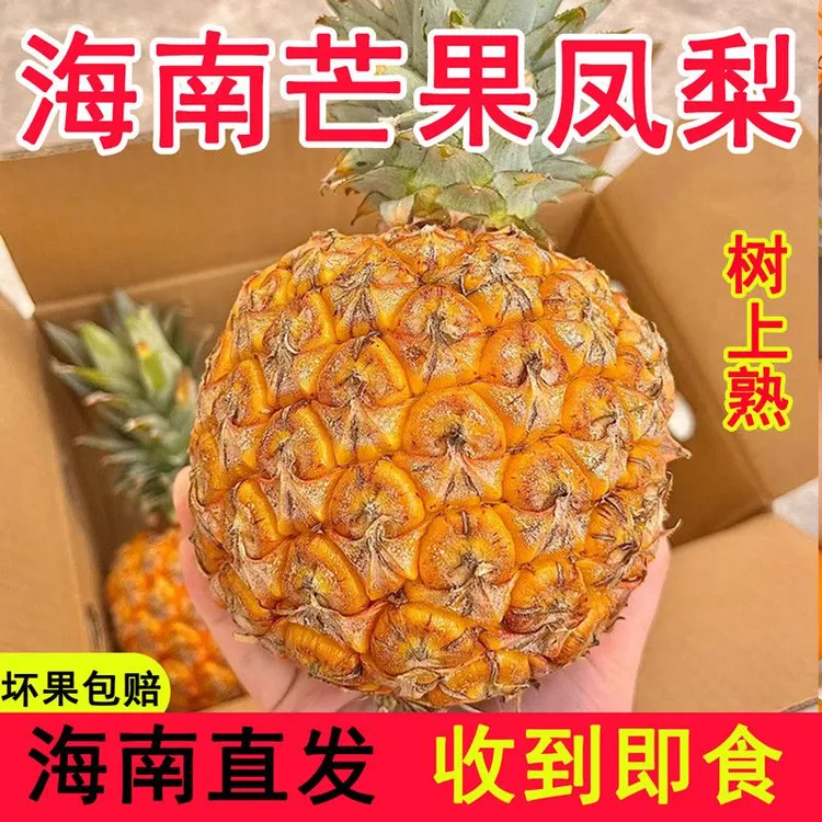 顺丰发货正宗海南芒果凤梨台农23号手撕菠萝新鲜孕妇水果整箱包邮