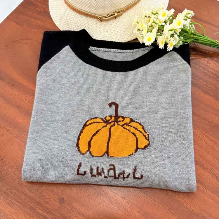 【桑蚕丝羊毛】卡通南瓜插肩袖百搭提花针织圆领女装打底衫毛衣846