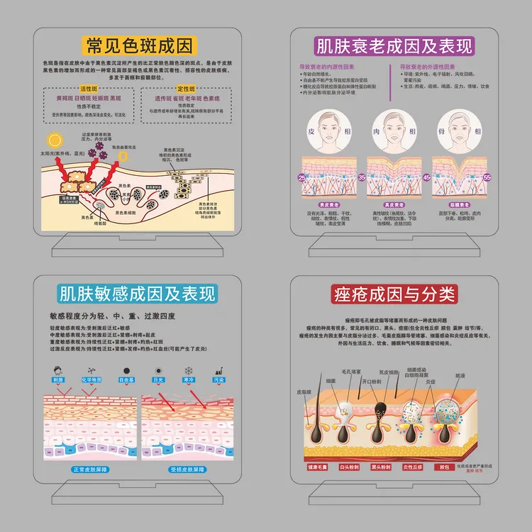 亚克力皮肤管理肌肤门店医美摆件知识护肤高颜值问诊简约美容院