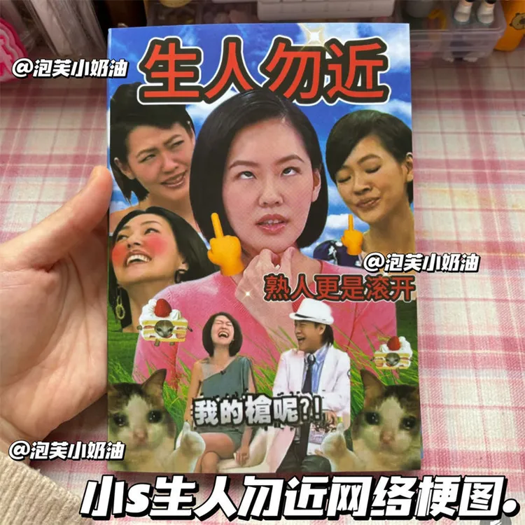 【艺凡】小S生人勿近熟人更是滚开贴纸书diy手账装饰素材贴纸书