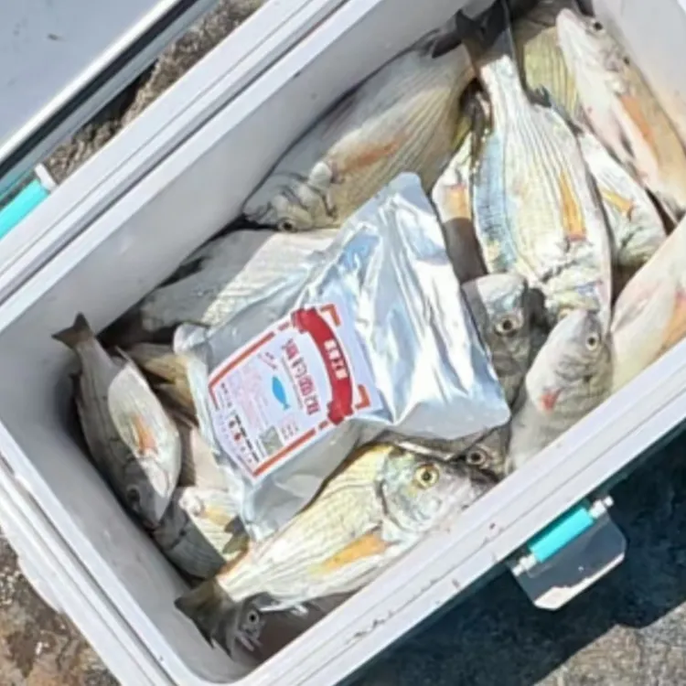 腥香味海钓金版筏钓矶钓排钓面饵黑鲷科泥猛乌头垂钓海钓鱼饵面饵