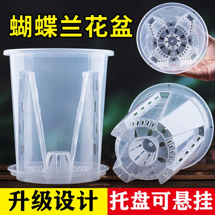 透明青山控根盆兰花水苔蝴蝶兰专用花盆塑料透气镂空大号花盆家用