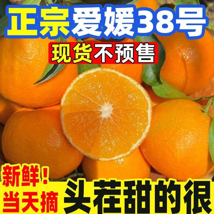 【不甜退款】新鲜现摘四川眉山爱媛38号果冻橙清甜爆汁手剥橙子