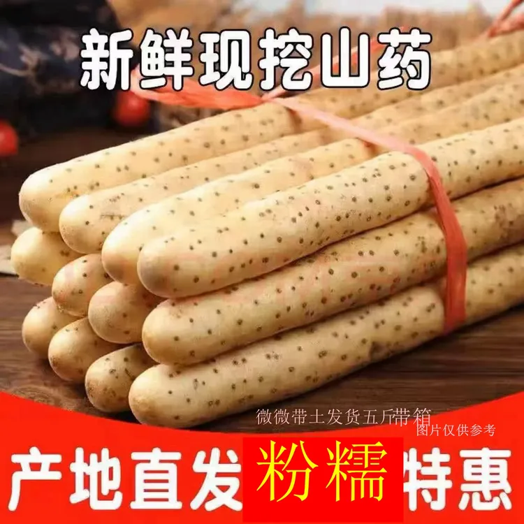 【铁棍山药软糯香甜】产地直发生鲜蔬菜带箱五斤宝宝辅食微土30-70 
