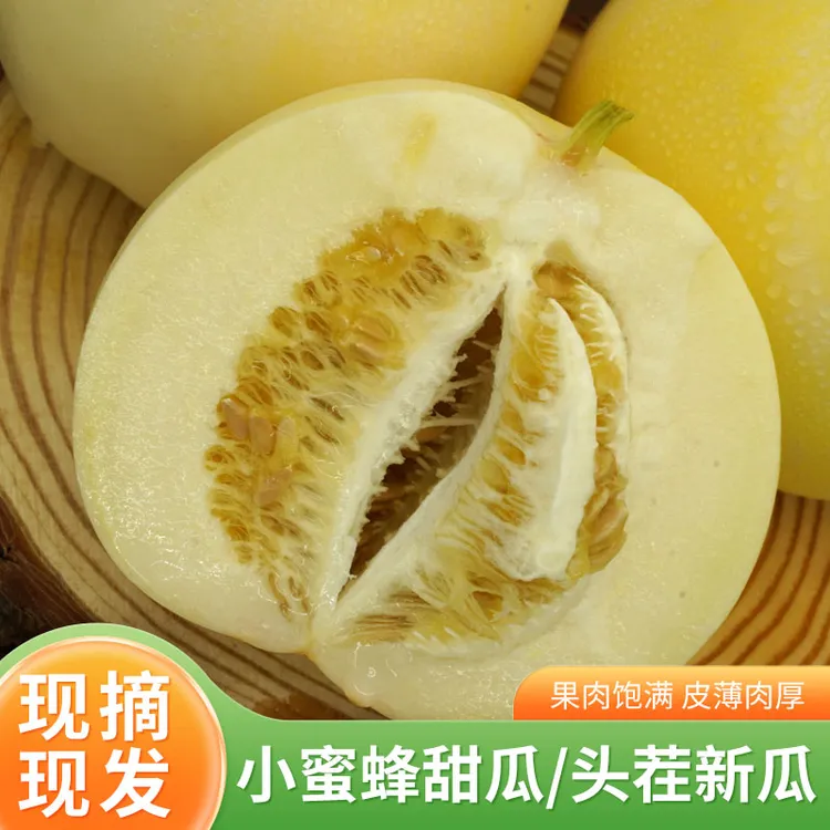 【顺丰上门】山东头茬小蜜蜂甜瓜早甜脆香瓜小蜜罐新鲜直供香甜水果