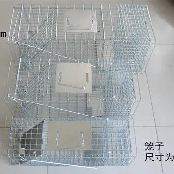 人道式救助自动捕猫笼 捉猫笼 流浪猫救助寻猫神器抓猫笼小区超市