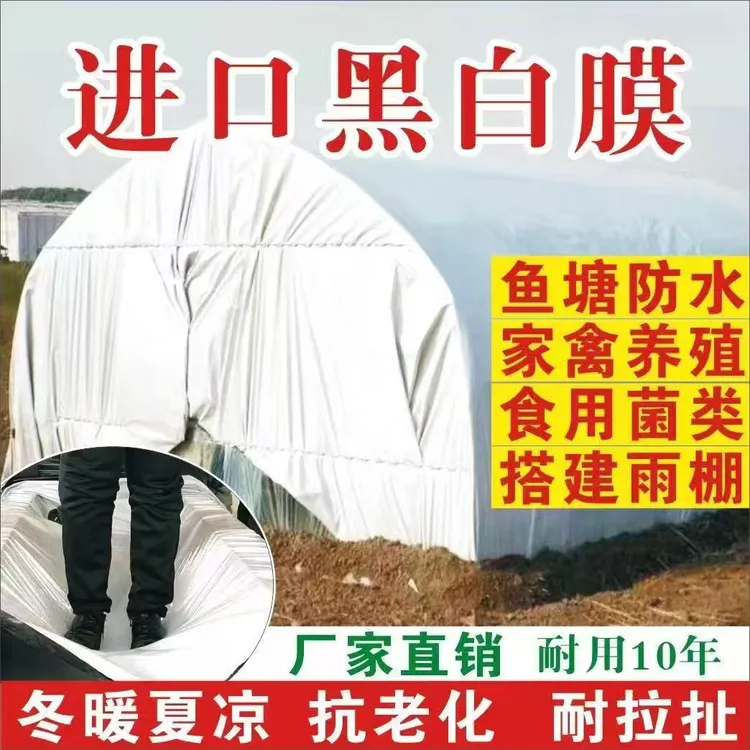 大棚膜黑白膜养殖鸡鸭猪防水保温隔热遮光青储青贮膜食用菌膜加厚