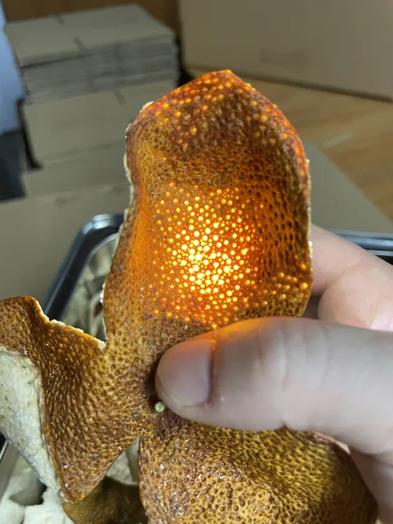 富喜膳【新会东甲（25年新皮）】2025年鸭蛋围圈枝大红皮