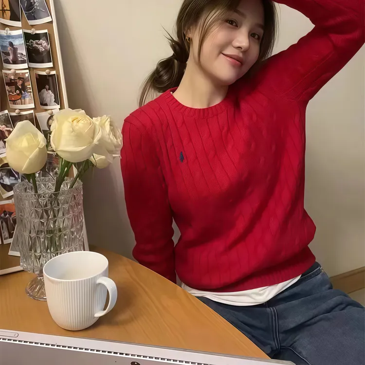 韩系刺绣战马毛衣女麻花纹针织衫软糯圆领套头打底显瘦上衣秋冬潮