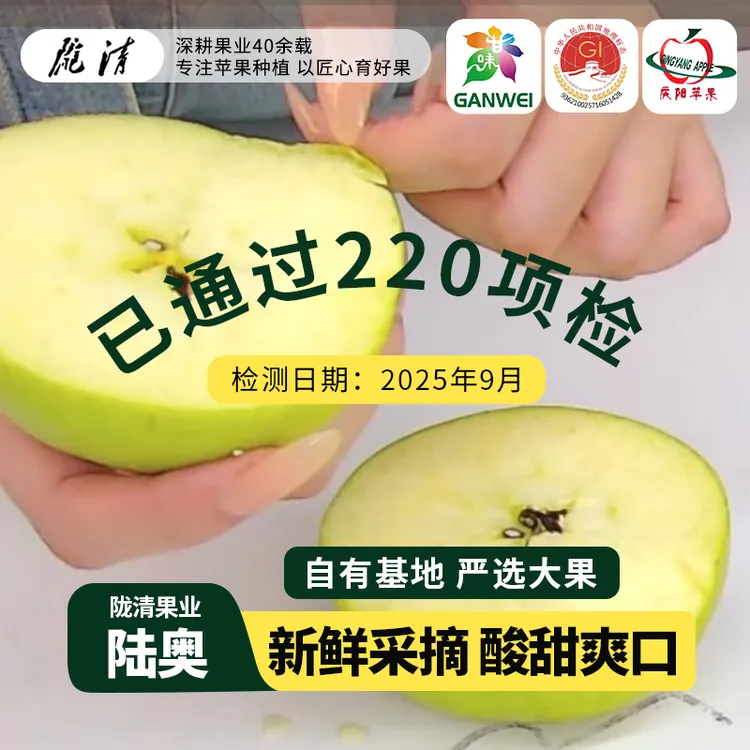 庆阳苹果陇清陆奥青苹果12个装原生态营养酸甜