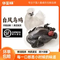 【华至味】整只乌鸡 1kg*2只 肉质鲜嫩