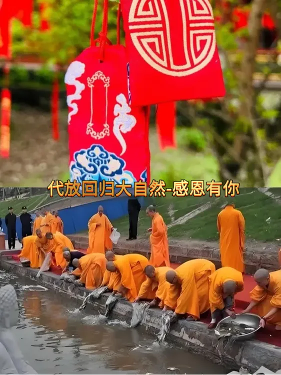 回归大自然-鲤鱼鲫鱼泥鳅乌龟等-感恩有你