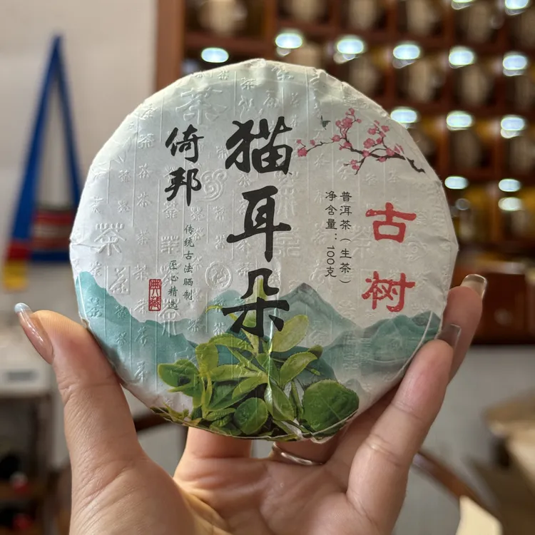 25年倚邦猫耳朵一类古树纯料头春普洱生茶