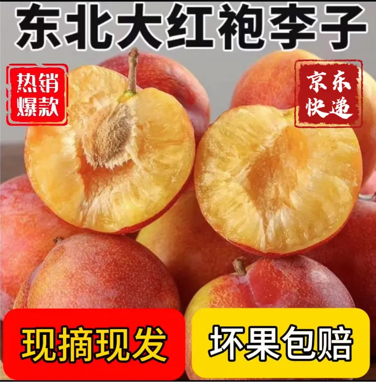 东北大红袍李子当季新鲜黄心大果脱骨离核甜脆水果
