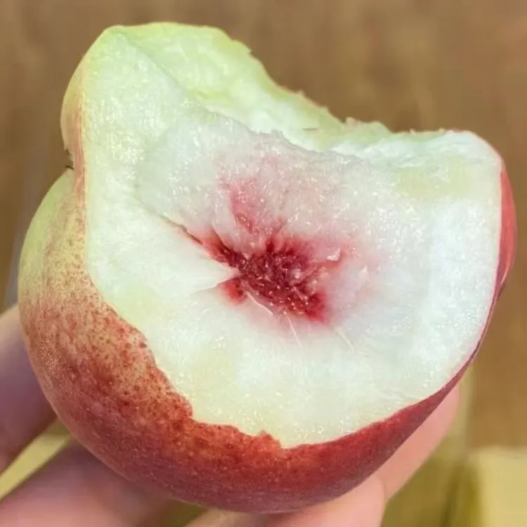 【正宗青州蜜桃】现摘新鲜桃子秋桃苹果水蜜桃毛桃脆甜应季水果
