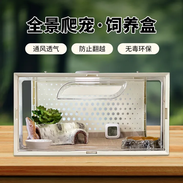 senjya/盛洁雅透明爬宠饲养盒方便观察睫角豹纹守宫老爷树蛙饲养