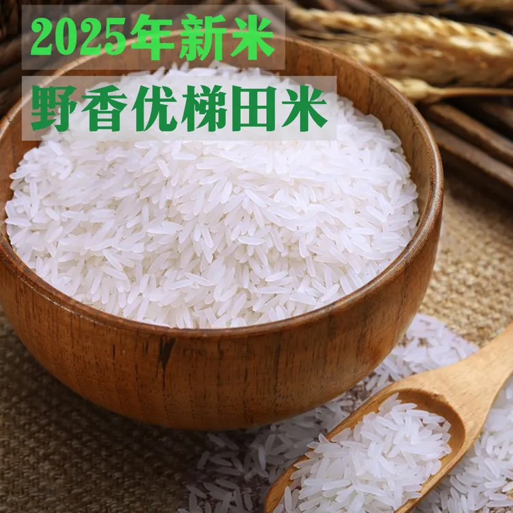 贵州农家野香优梯田大米