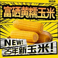 【富硒玉米】试吃2根2025头茬正宗东北黄糯玉米软糯香甜10支