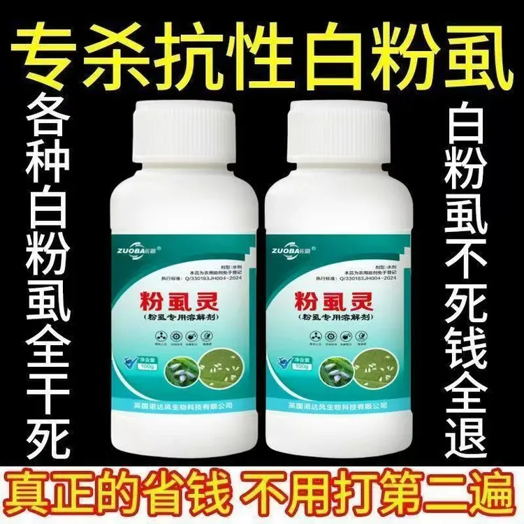 白粉虱黄瓜白粉丝茄子白粉虱药番茄小白飞虫辣椒花卉白飞虱助剂商品图