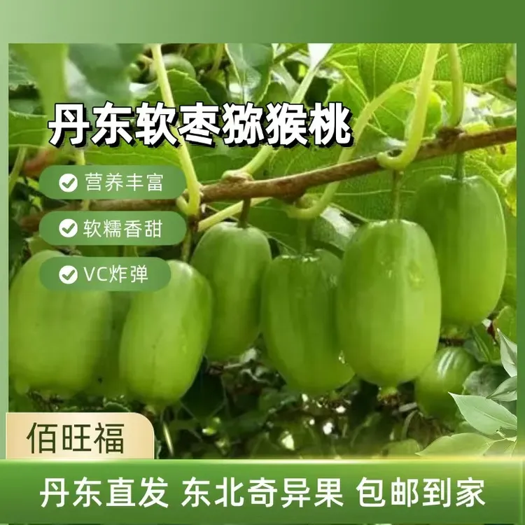 东北特产猕猴桃丹东软枣猕猴桃软枣子1/2/3/5斤孕妇水果龙成顺丰