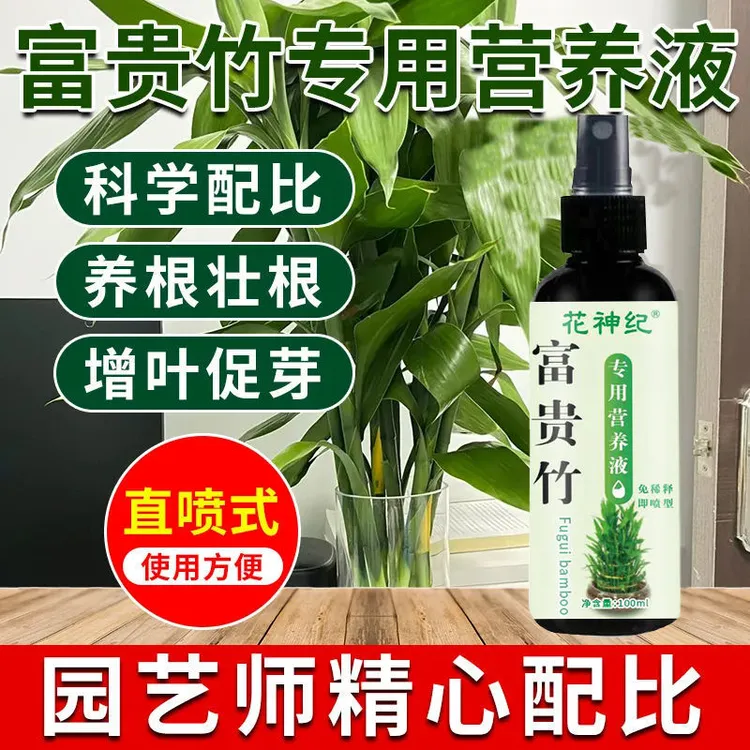 富贵竹专用营养液发财竹观音竹水培植物铜钱草绿植盆栽养花肥料