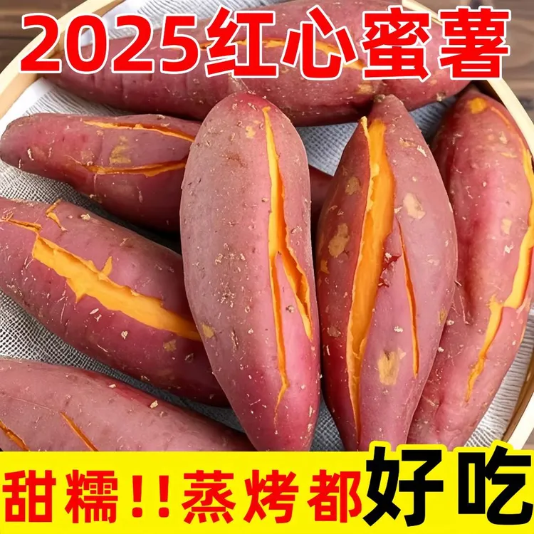 【坏果包赔】云南高原蜜薯红薯西瓜红现挖农家地瓜番薯黄心沙地番薯