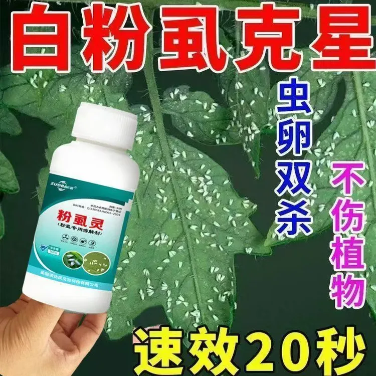 【边打边落】白粉虱蔬菜花卉专用白飞虱蚜虫虫卵生物速溶助剂商品图