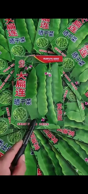 【大扁连宽油豆种子】四季种植盆栽地栽阳台小院种植