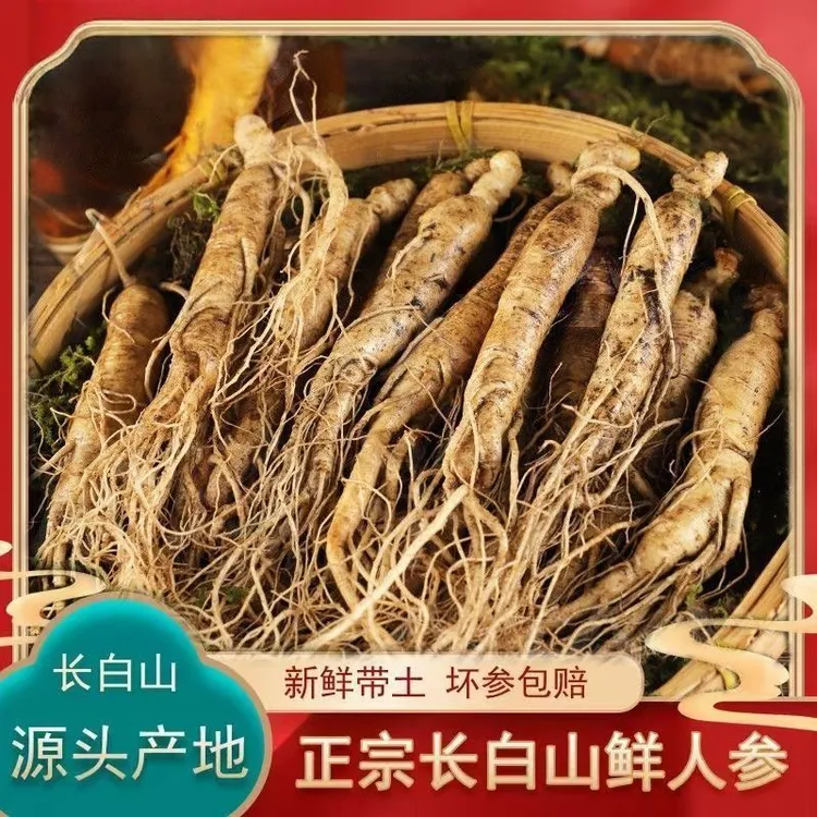 长白山人参保鲜人参泡酒煲汤吉林鲜参东北特产新鲜产地直发