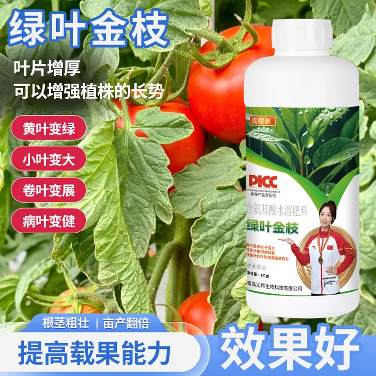 [新店钜惠]PICC人保承诺——小叶变大黄叶变绿绿叶金枝氨基酸水溶肥