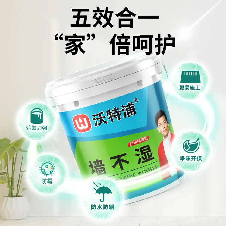 沃特浦墙防潮白色墙面修复家用修补膏补墙膏防水防霉补墙抗碱抗裂商品图