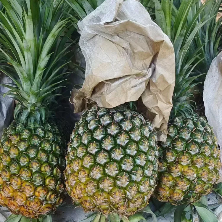 超大西瓜凤梨爆甜多汁热带新鲜水果自然熟产地直发