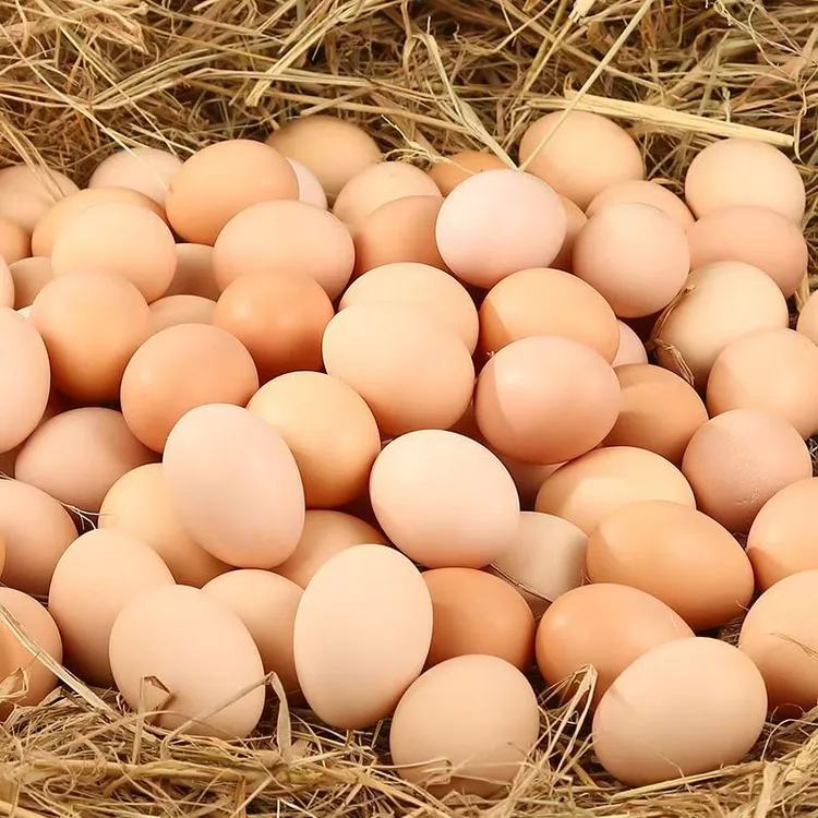 正宗散养新鲜土鸡蛋农家虫草蛋粉谷物鸡蛋养儿童孕妇营养整箱批发