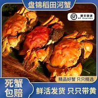 【礼盒】赠送10只盘锦稻田蟹全母蟹1-0.8两/只共30只全活蟹中秋礼盒
